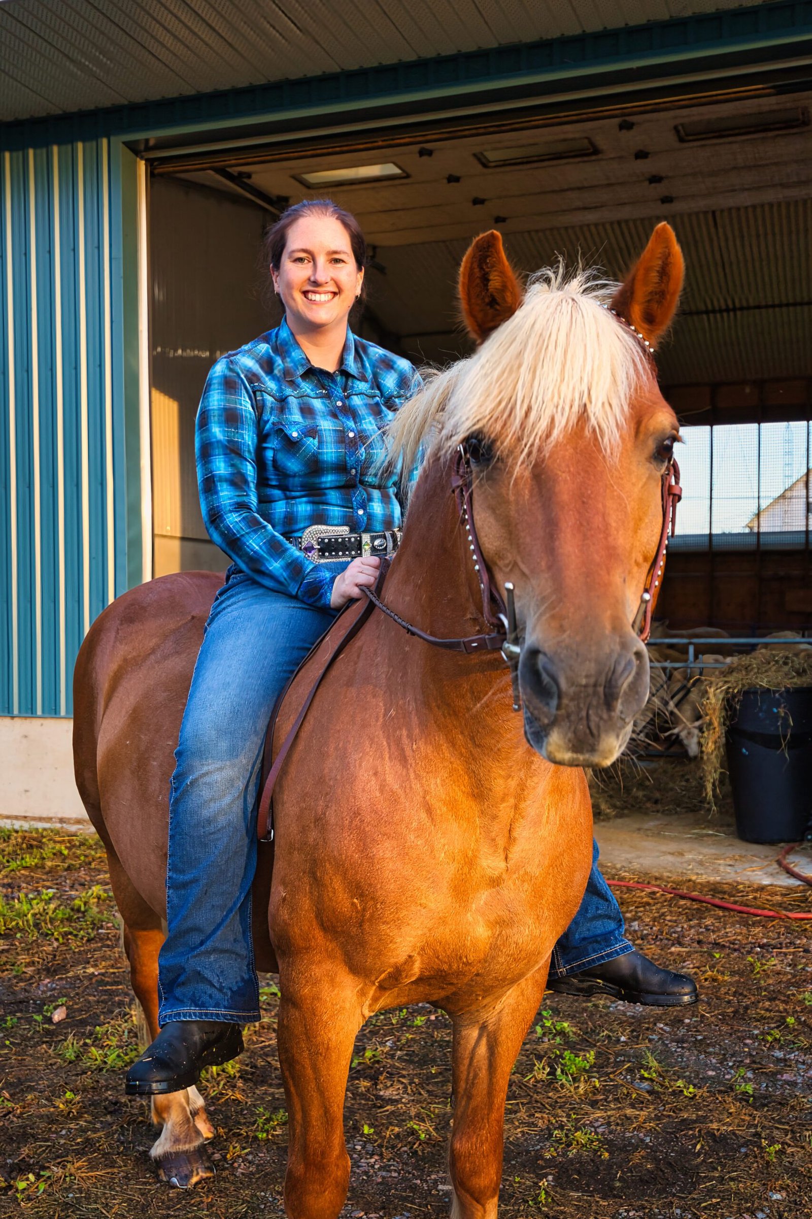 portraitwithhorse04