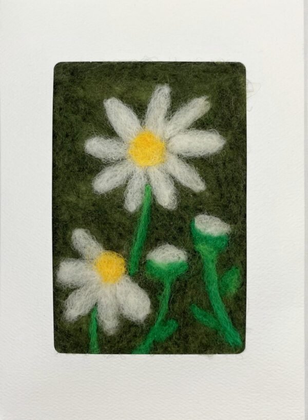 White Daisy