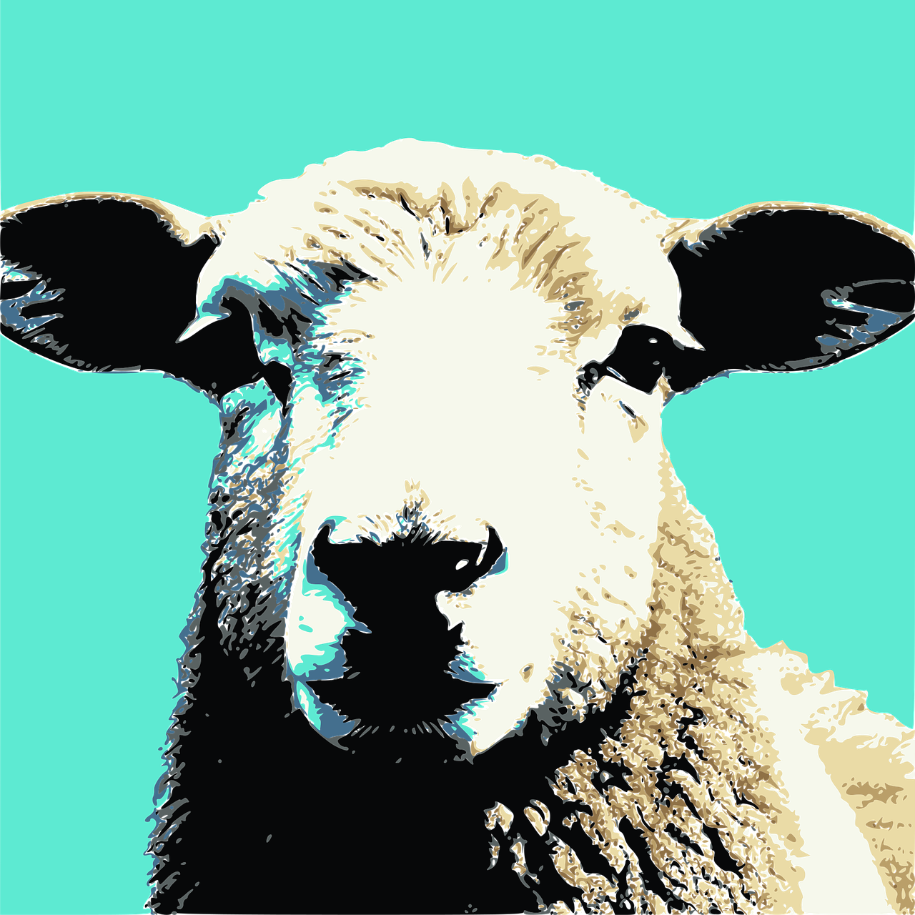 sheep-7869548_1280
