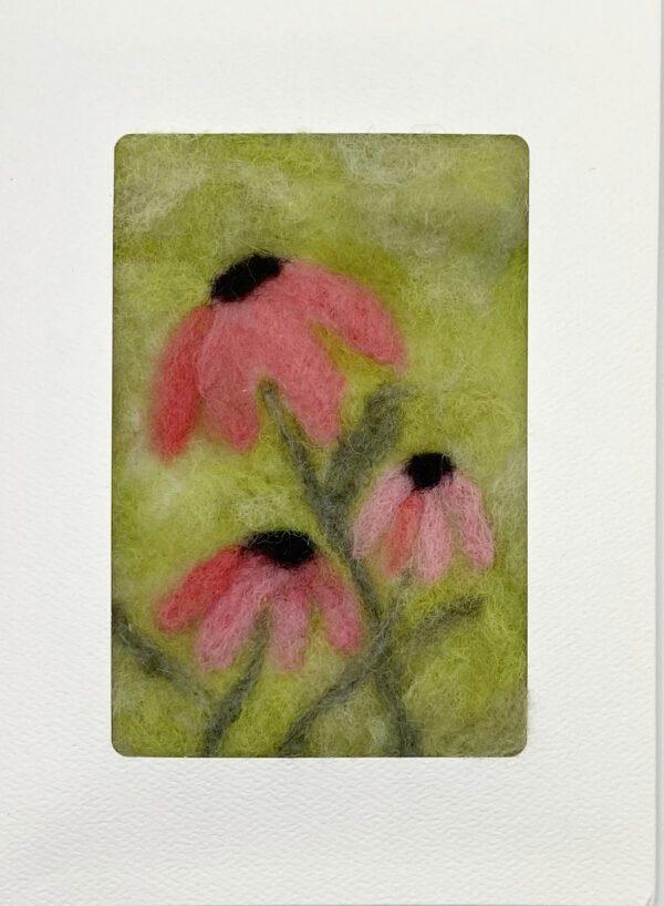 Pink Coneflower