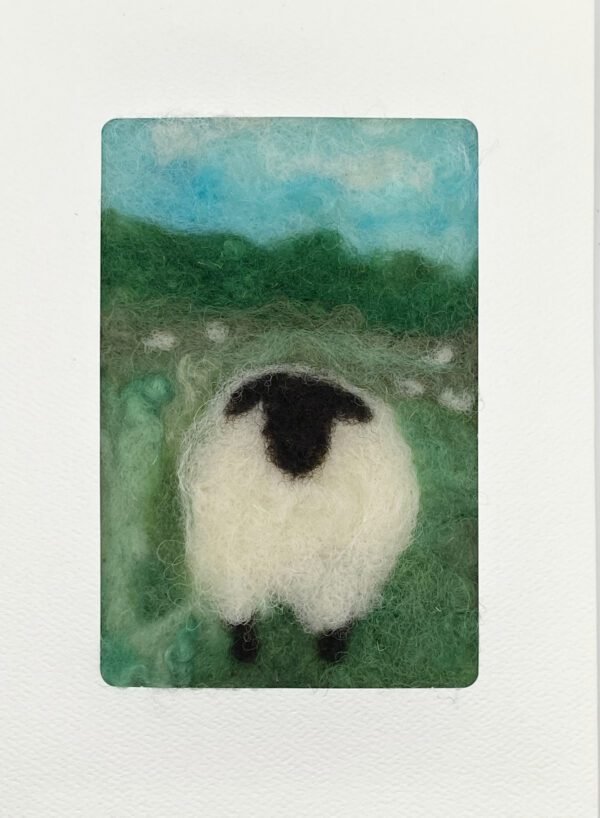 Sheep (single)